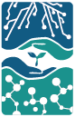 Logo CITDES